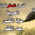 ابيات شعر قويه عن عزة النفس