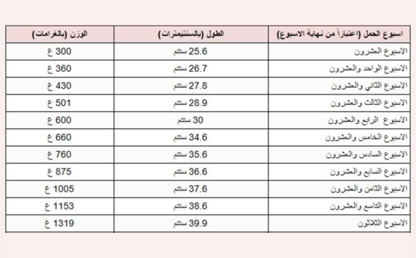 وزن الجنين كل شهر  