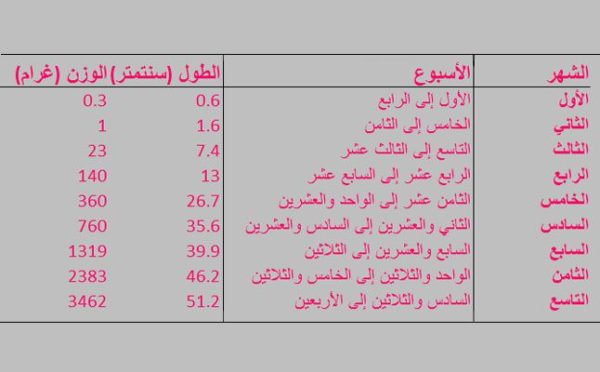 وزن الجنين كل شهر من شهور الحمل