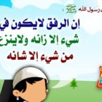 اذاعة مدرسية عن برنامج رفق