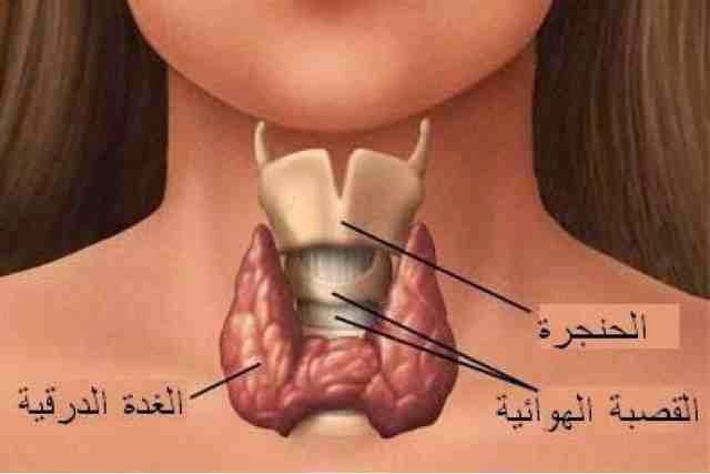 فوائد القسط الهندي ( العود الهندي )