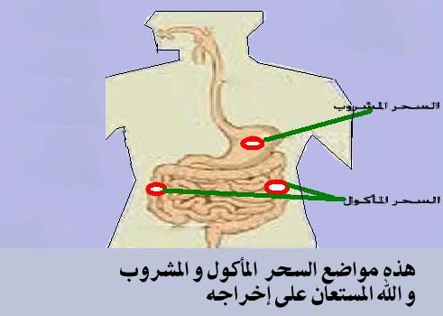 السحر المأكول والسحر المشروب