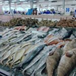 سوق السمك في دبي ” الجديد ” بالصور