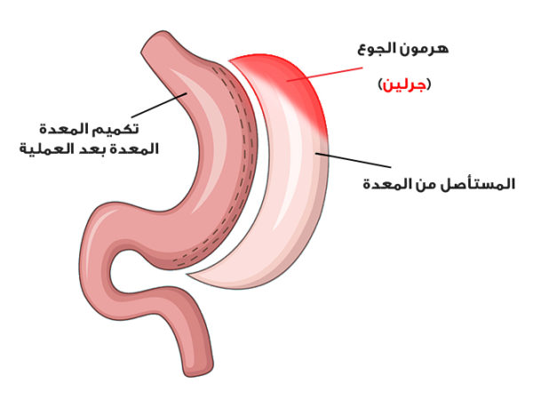 التخصصات الموجودة بمستشفى الدكتور الحسن النعمي 