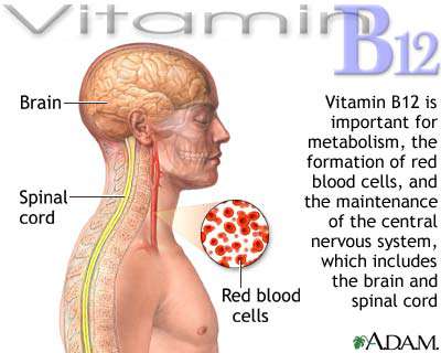 تأثير فيتامين ب 12 في الجسم
