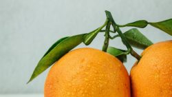 تفسير حلم أكل البرتقال للارملة في المنام
